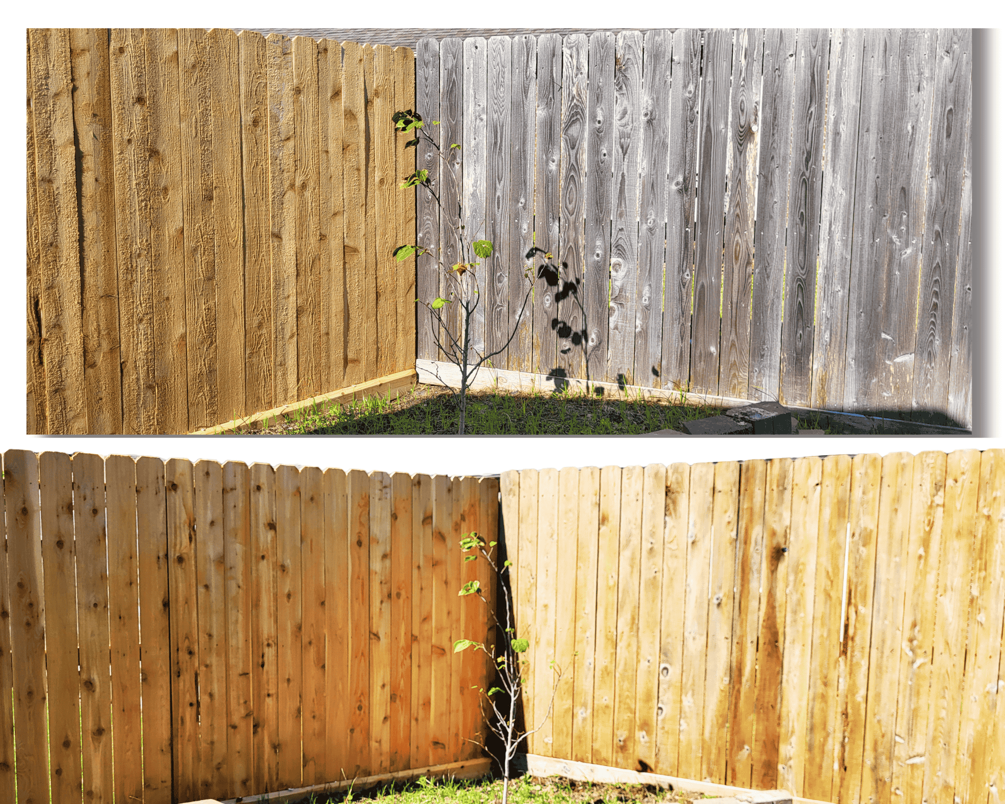 Fence-Cleaning.png